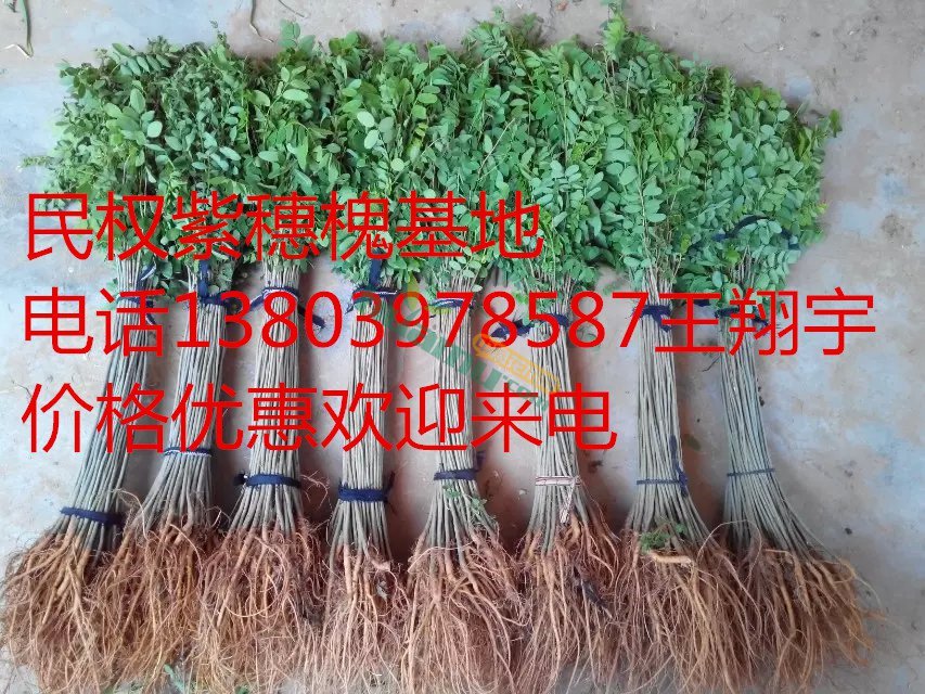 psb (40)_副本.jpg