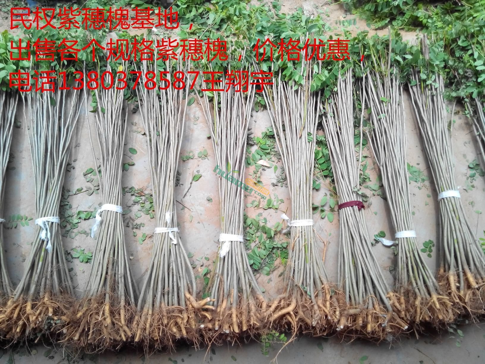 QQ图片20150722071204.jpg